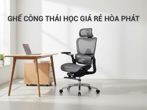 ghế công thái học giá rẻ