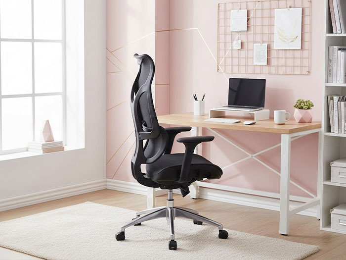 Ghế công thái học cho nữ