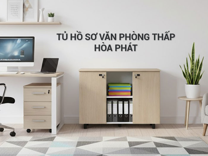 Tủ hồ sơ văn phòng thấp