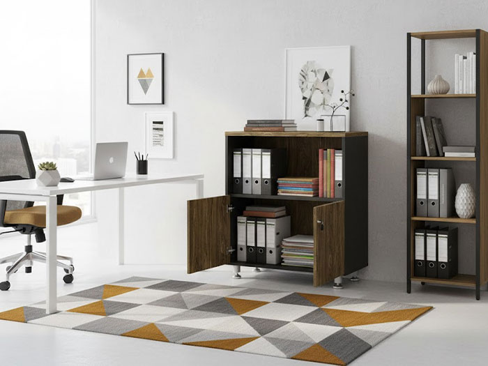 Tủ hồ sơ văn phòng thấp