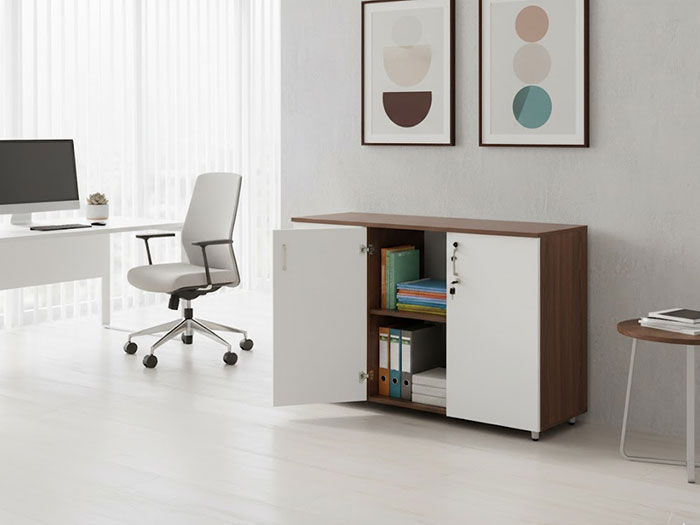 Tủ hồ sơ văn phòng thấp