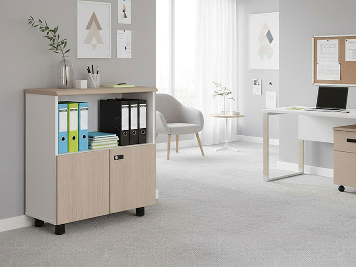 Tủ hồ sơ văn phòng thấp