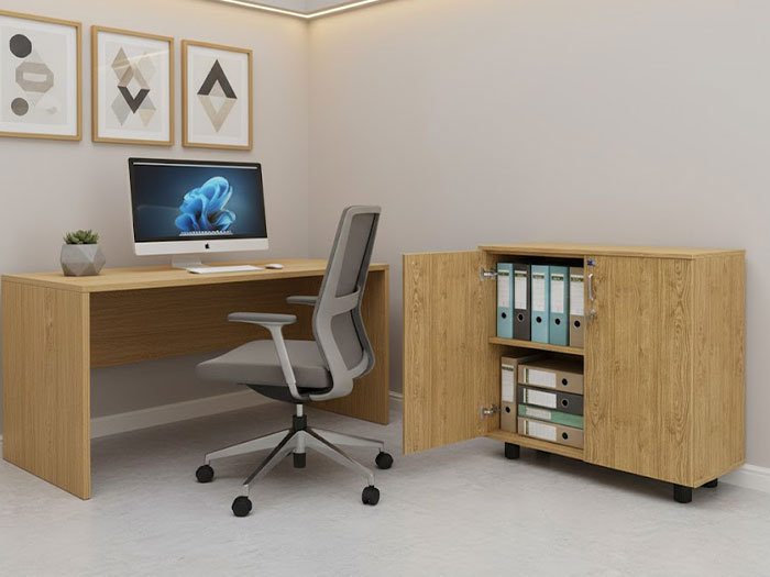 Tủ hồ sơ văn phòng thấp