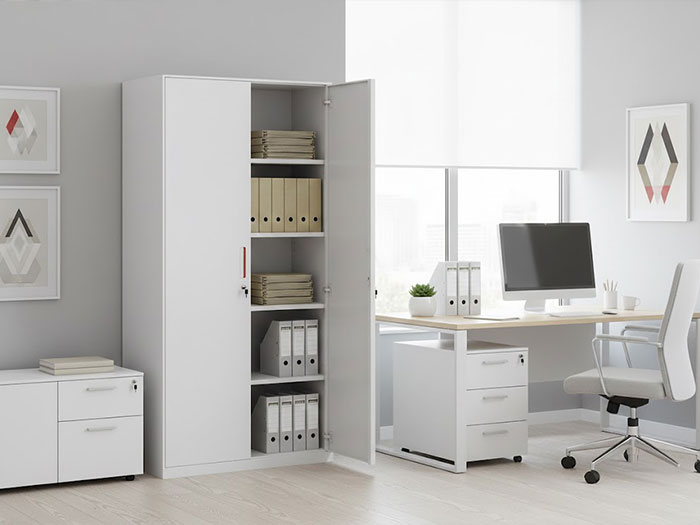 Tủ sắt sơn tĩnh điện 2 cánh