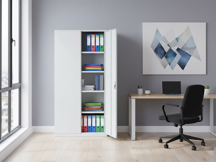 Tủ sắt sơn tĩnh điện 2 cánh