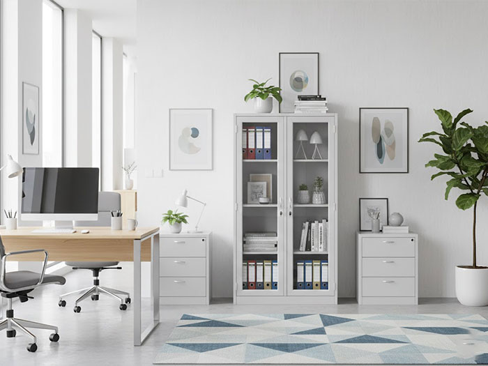 Tủ sắt sơn tĩnh điện 2 cánh