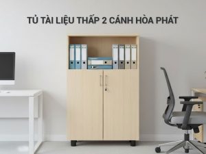 Tủ tài liệu thấp 2 cánh