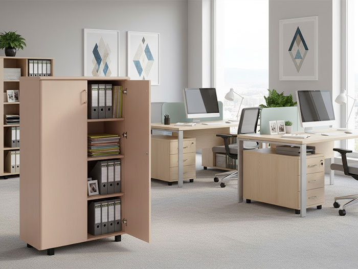 Tủ tài liệu thấp 2 cánh