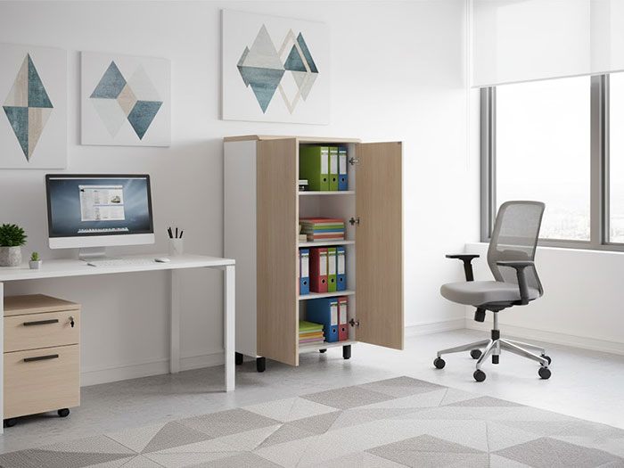 Tủ tài liệu thấp 2 cánh