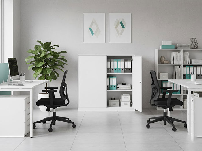 Tủ tài liệu thấp 2 cánh