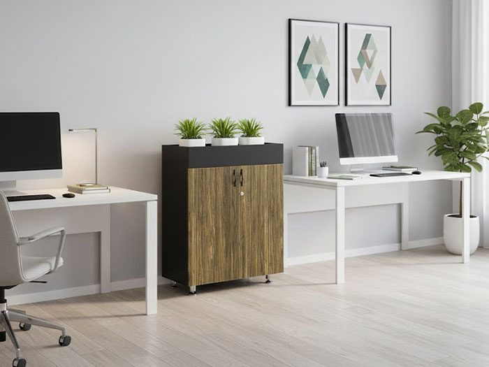 Tủ tài liệu thấp 2 cánh