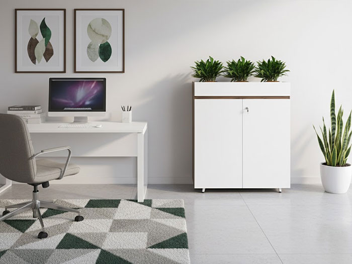 Tủ tài liệu thấp 2 cánh