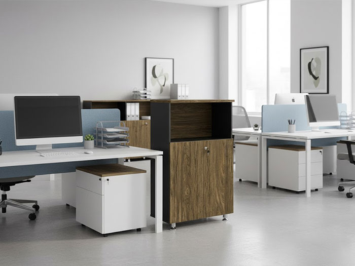 Tủ tài liệu thấp 2 cánh