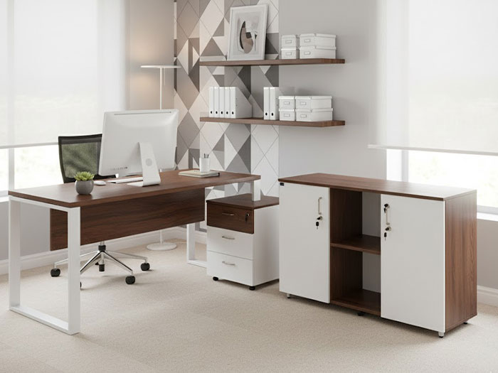 Tủ tài liệu thấp 2 cánh