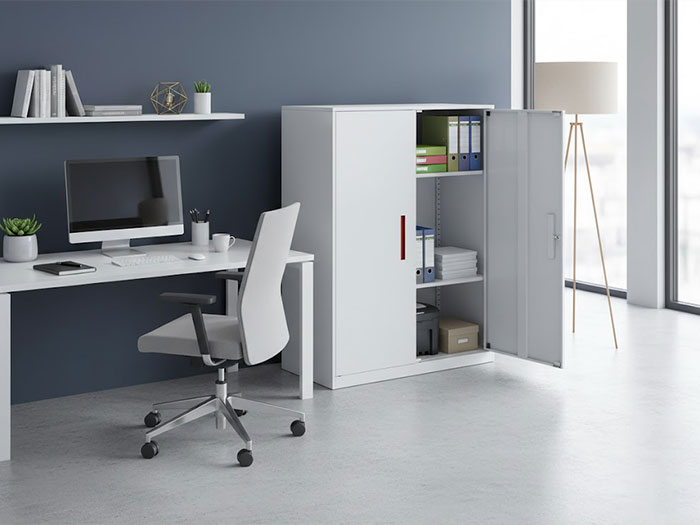 Tủ tài liệu thấp 2 cánh