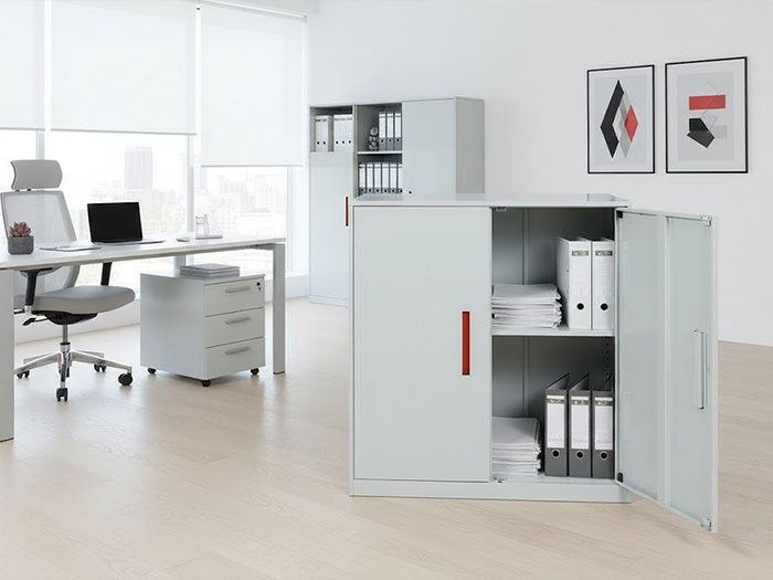 Tủ tài liệu thấp 2 cánh