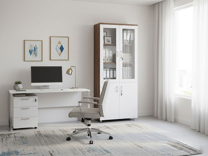 Tủ tài liệu 2 cánh kính