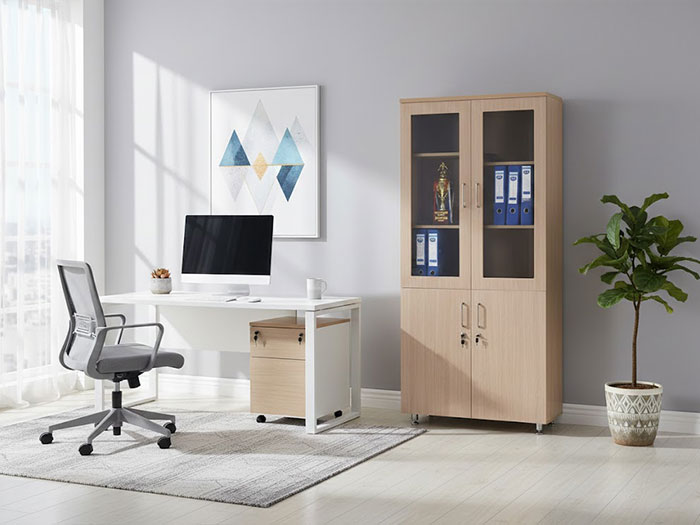 Tủ tài liệu 2 cánh kính