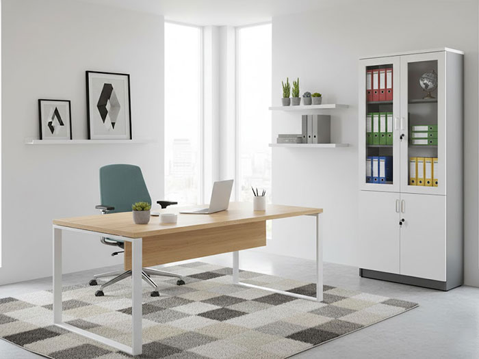 Tủ tài liệu 2 cánh kính