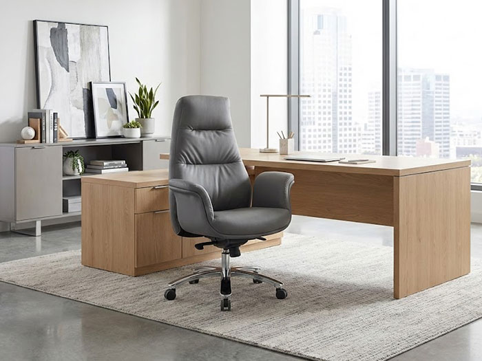 Ghế lãnh đạo hiện đại