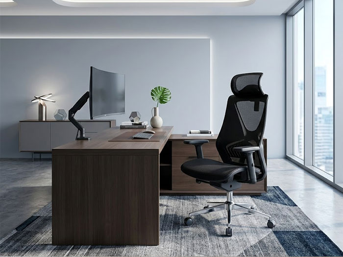 Ghế công thái học full lưới