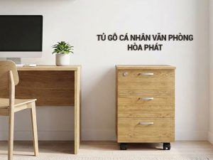 Tủ gỗ cá nhân văn phòng