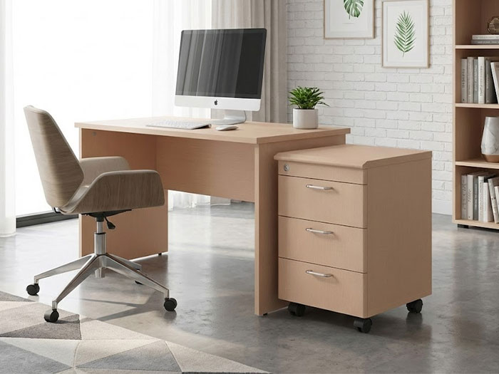 Tủ gỗ cá nhân văn phòng