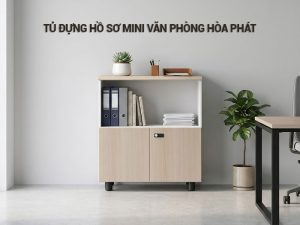 Tủ đựng hồ sơ mini văn phòng
