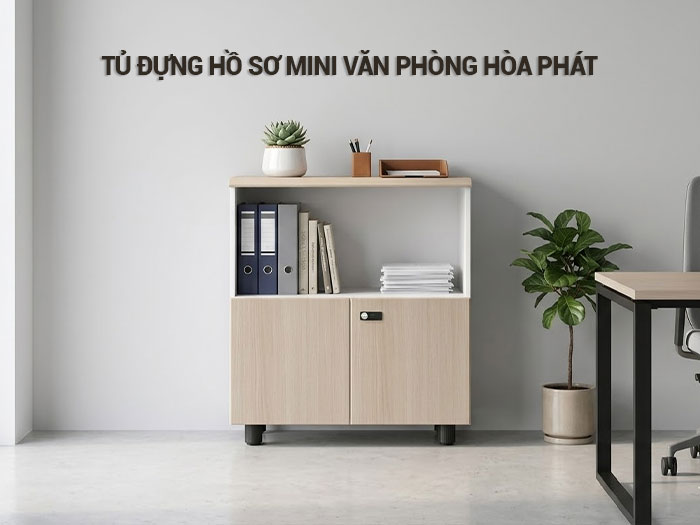 Tủ đựng hồ sơ mini văn phòng