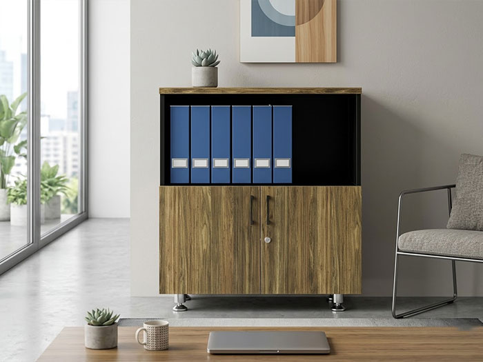 Tủ đựng hồ sơ mini văn phòng