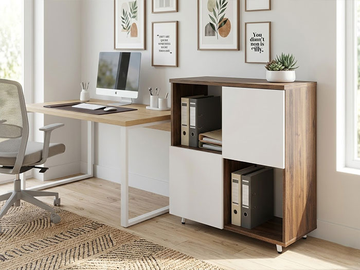 Tủ đựng hồ sơ mini văn phòng