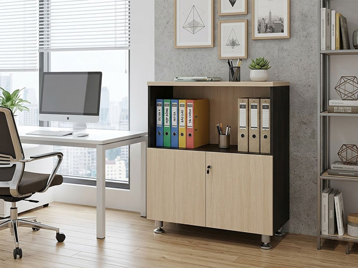 Tủ đựng hồ sơ mini văn phòng