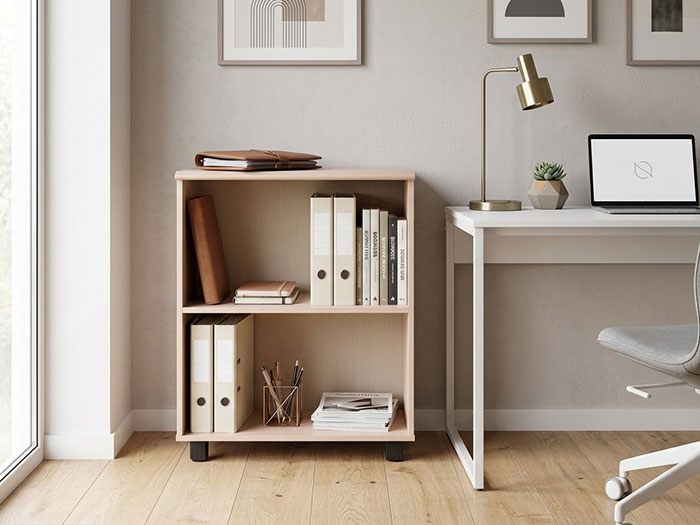 Tủ đựng hồ sơ mini văn phòng