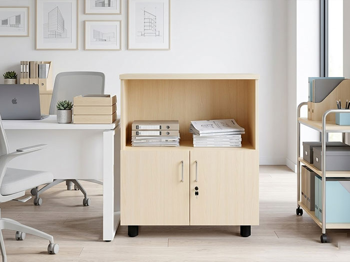 Tủ đựng hồ sơ mini văn phòng