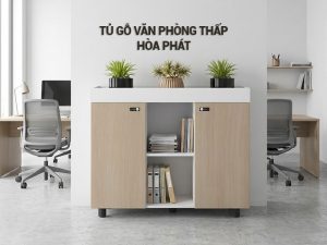 Tủ gỗ văn phòng thấp