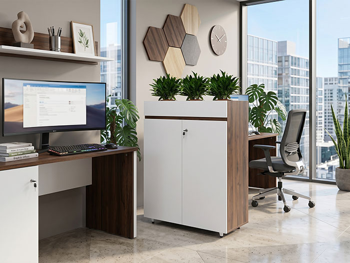 Tủ tài liệu gỗ Hòa Phát 2 cánh