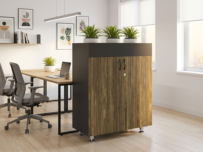 Tủ tài liệu gỗ Hòa Phát 2 cánh