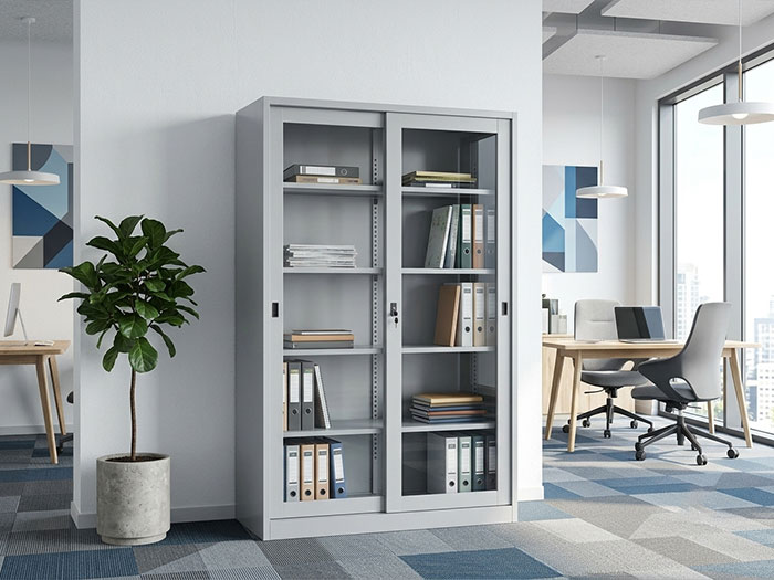 Tủ hồ sơ sắt Hòa Phát 2 cánh